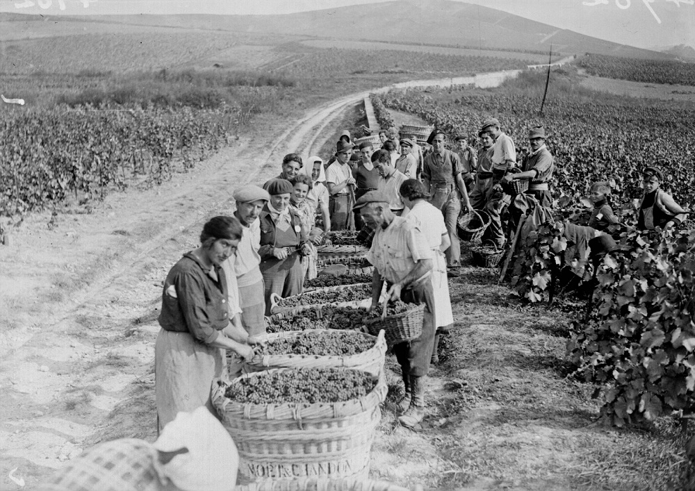 Cuando los alemanes ocuparon Francia, el vino fue objeto de un expolio  perverso»