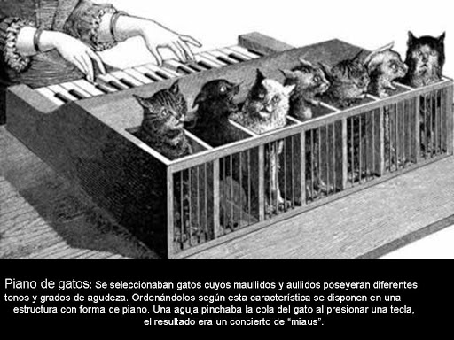 Piano de gatos