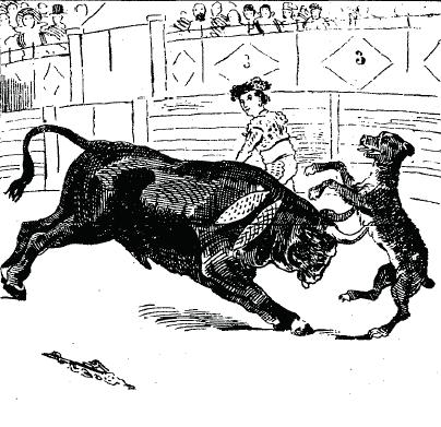 Cogida de Paco cuando "ayudaba" a Gallito