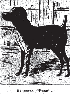 El perro Paco