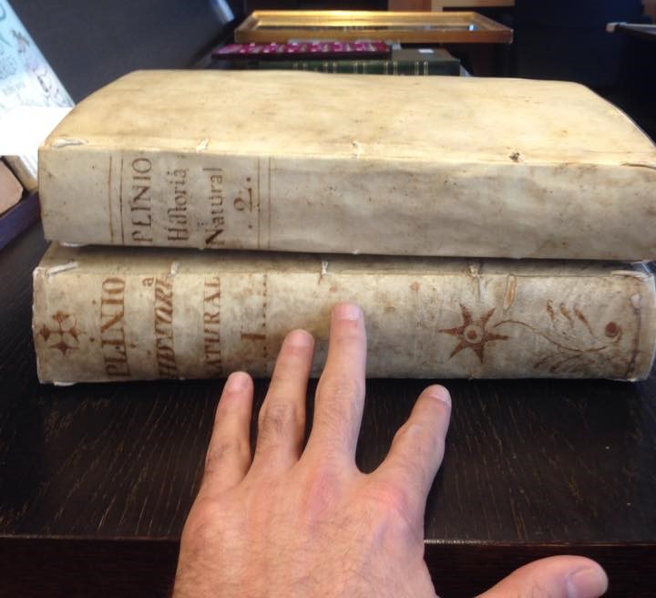 HIstoria-Plinio