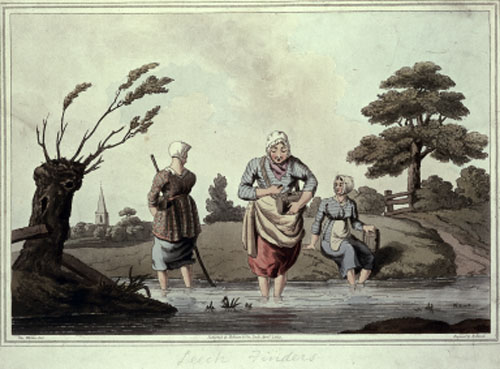 Recolector sanguijuelas