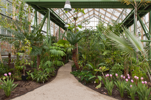 Hortus botanicus de Leiden, fundado por Carolus Clusius