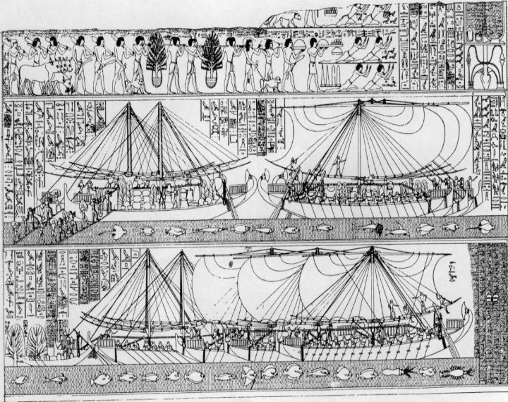 Grabado de la expedición a Punt en Dyeser Dyeseru